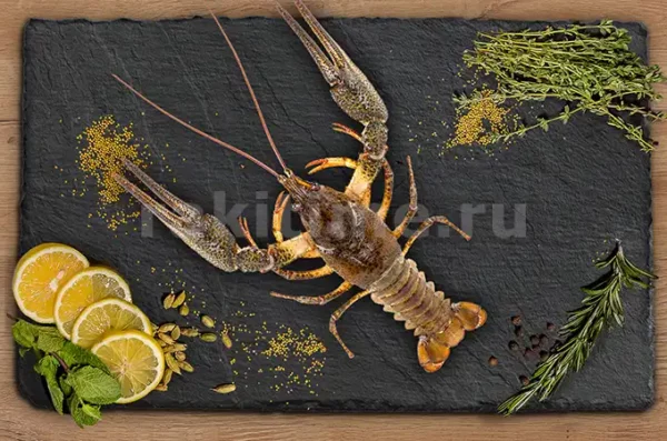 Живые Раки